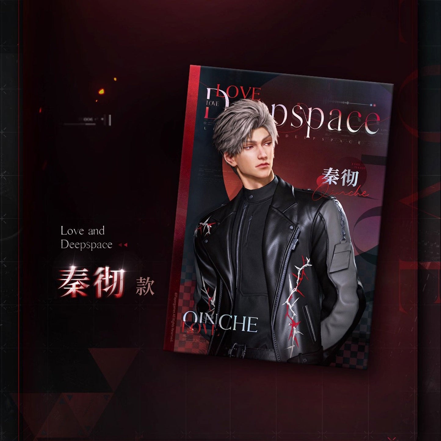 *Official* Opposing Vision Series – Postcard